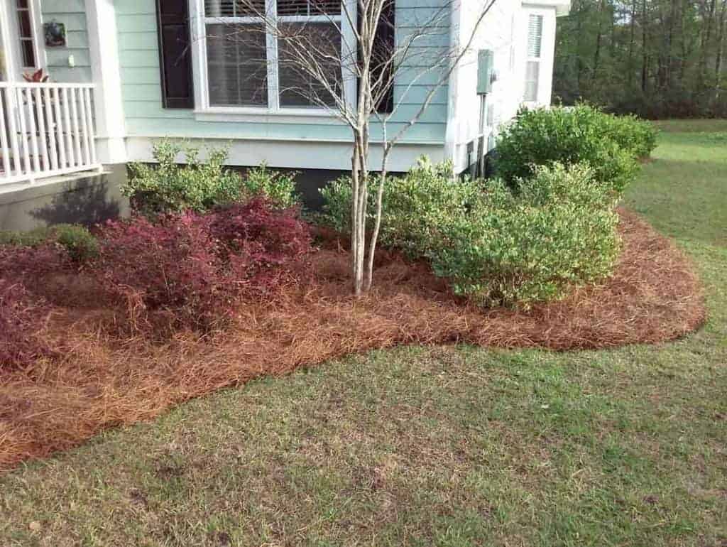 The Potential of Using Mulch